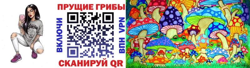 Псилоцибиновые грибы MAGIC MUSHROOMS Камызяк